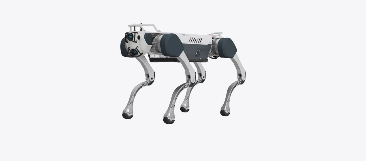 DEEP Robotics X30